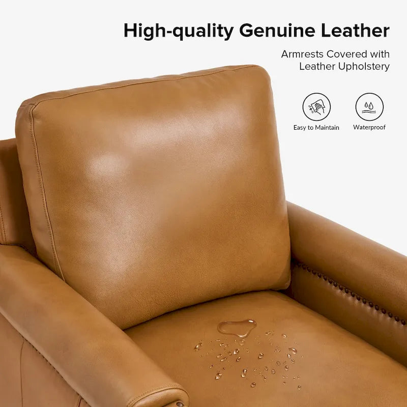 Transitional Genuine Leather Armchair with Removable Cushion and Nailhead Trims